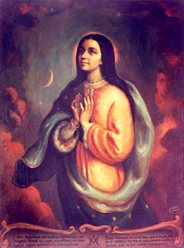 Galer&iacute;a Jorge S&aacute;nchez Hern&aacute;ndez
