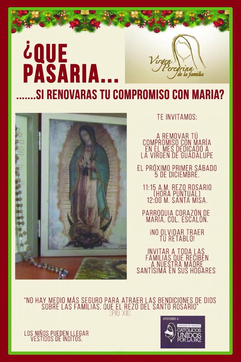 http://virgenperegrina.org/documentos/imagenes/856947c4ccffdf9e69f4228a7ee88700.jpg