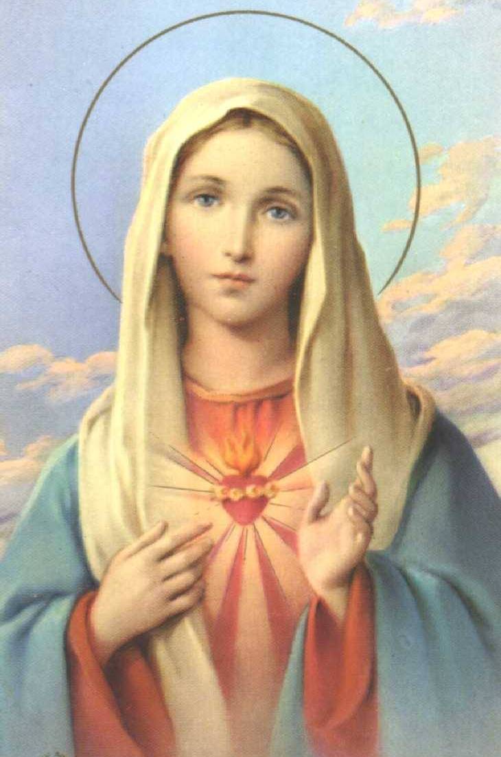mayo es el mes de Maria? | Virgen Peregrina de la Familia
